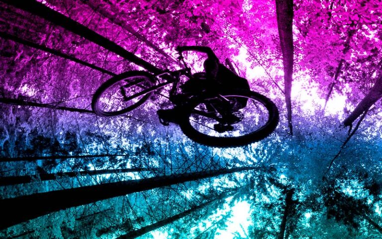 Principios del entrenamiento ciclista